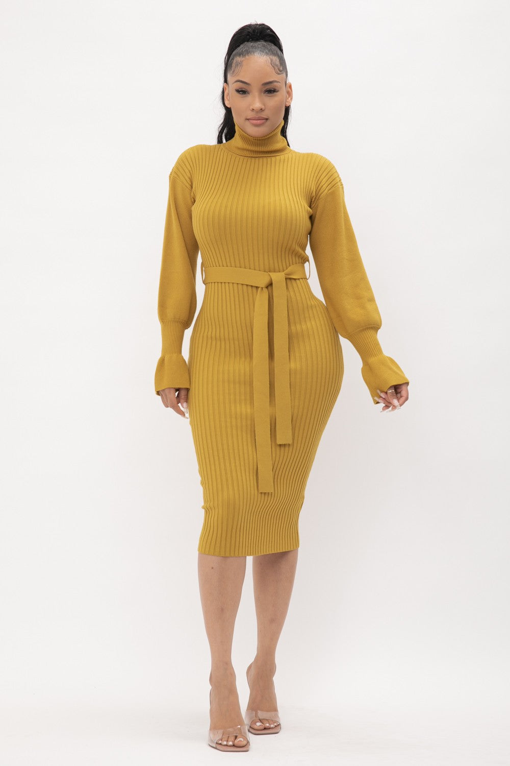 Ava Knit Turtle Neck Dress